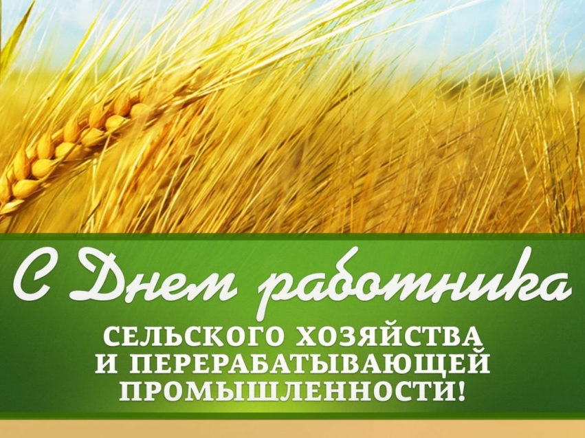 Поздравление руководства Агинского района с Днем работника сельского хозяйства